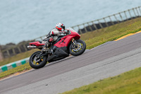 PJ-Motorsport-2019;anglesey-no-limits-trackday;anglesey-photographs;anglesey-trackday-photographs;enduro-digital-images;event-digital-images;eventdigitalimages;no-limits-trackdays;peter-wileman-photography;racing-digital-images;trac-mon;trackday-digital-images;trackday-photos;ty-croes